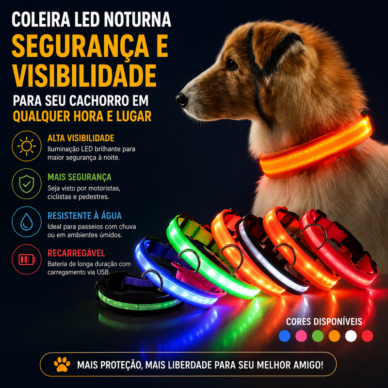 Cachorro usando coleira LED iluminada durante passeio noturno para maior segurança e visibilidade.