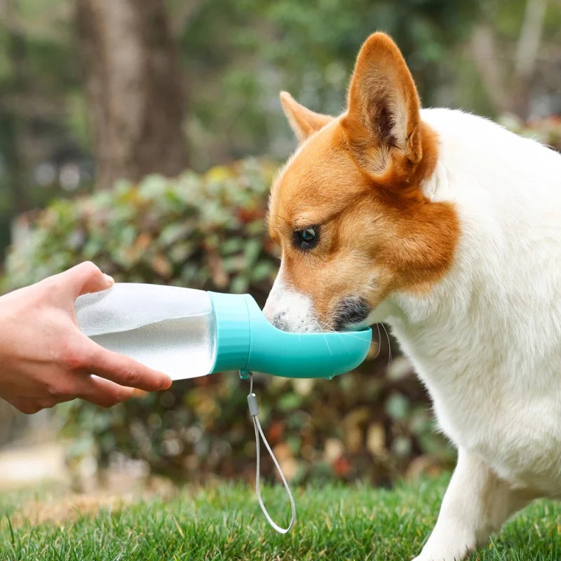 Cachorro bebendo água em garrafa portátil com bebedouro integrado durante passeio ao ar livre.