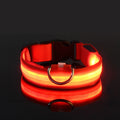 Coleira LED Noturna GlowPet™ – Segurança e Visibilidade para Seu Cachorro em Qualquer Horário