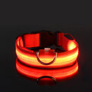 Coleira LED Noturna GlowPet™ – Segurança e Visibilidade para Seu Cachorro em Qualquer Horário