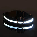 Coleira LED Noturna GlowPet™ – Segurança e Visibilidade para Seu Cachorro em Qualquer Horário