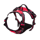 SafeFit Pro™ – Peitoral Antipuxão para Cães | Mais Controle, Conforto e Segurança nos Passeios