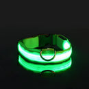 Coleira LED Noturna GlowPet™ – Segurança e Visibilidade para Seu Cachorro em Qualquer Horário