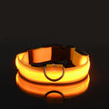 Coleira LED Noturna GlowPet™ – Segurança e Visibilidade para Seu Cachorro em Qualquer Horário