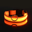 Coleira LED Noturna GlowPet™ – Segurança e Visibilidade para Seu Cachorro em Qualquer Horário