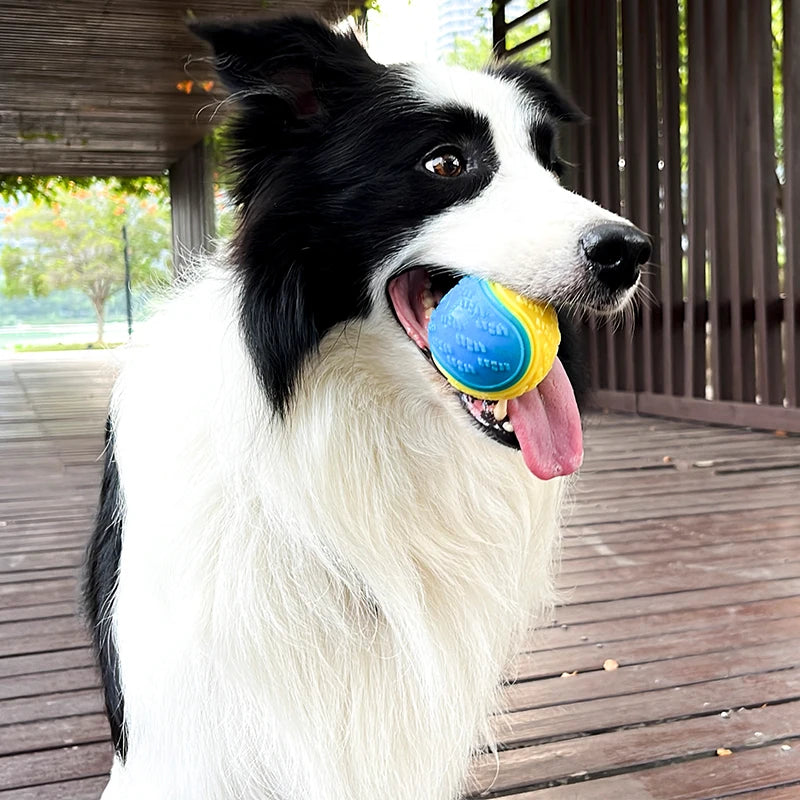 Bola Interativa para Cachorro com Limpeza Dental – Diversão, Saúde Bucal e Estímulo Diário