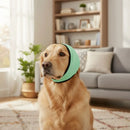 Protetor Auricular para Cachorros CalmPet™ – Redução de Ruídos, Mais Conforto e Menos Estresse