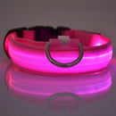 Coleira LED Noturna GlowPet™ – Segurança e Visibilidade para Seu Cachorro em Qualquer Horário