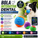 Bola Interativa para Cachorro com Limpeza Dental – Diversão, Saúde Bucal e Estímulo Diário
