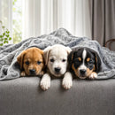 PetBlanket Premium™ – Manta Ultra Macia para Cães e Gatos | Conforto e Proteção o Ano Todo