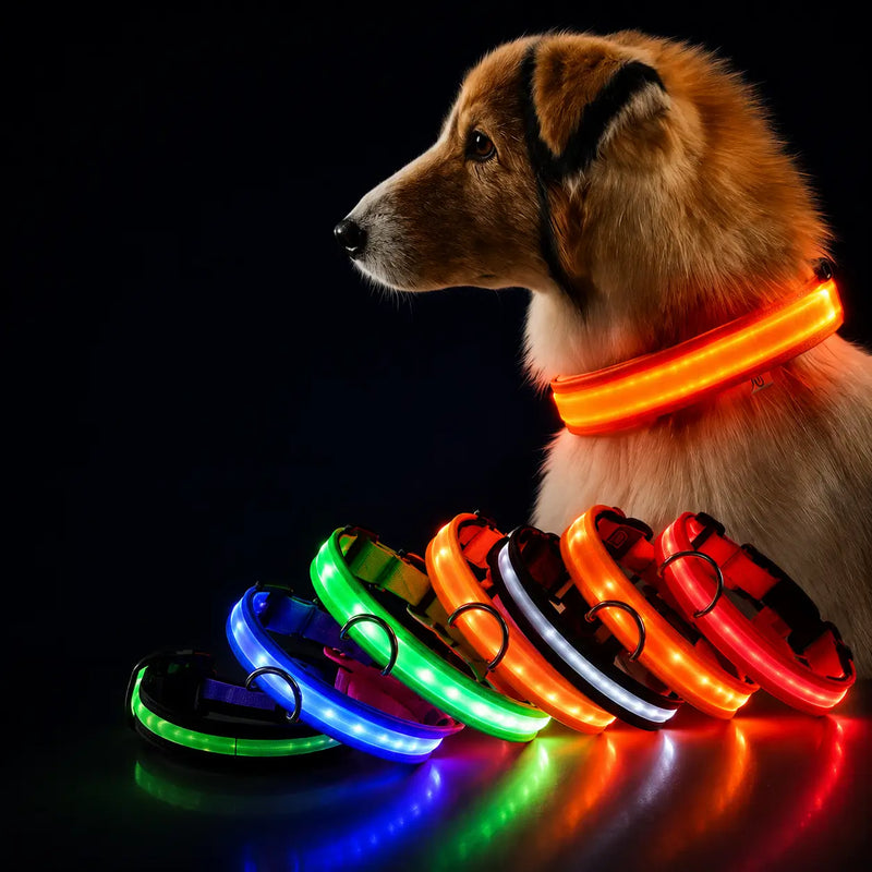 Coleira LED Noturna GlowPet™ – Segurança e Visibilidade para Seu Cachorro em Qualquer Horário