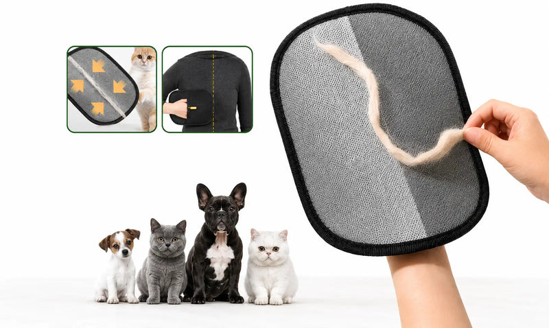 FurClean Pro™ – Removedor Reutilizável de Pelos para Sofás, Roupas e Estofados + Brinde Surpresa🎁