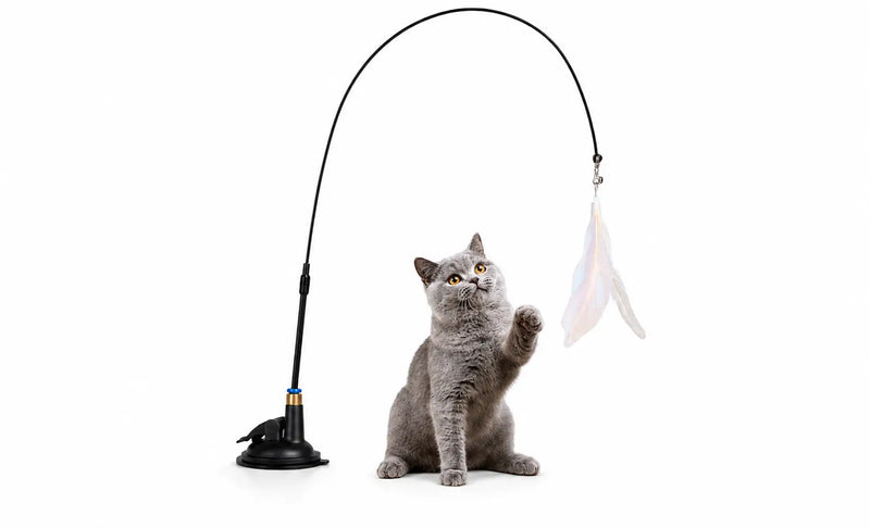 CatPlay Pro™ – Brinquedo Interativo com Ventosa para Gatos | Diversão, Exercício e Estímulo Mental