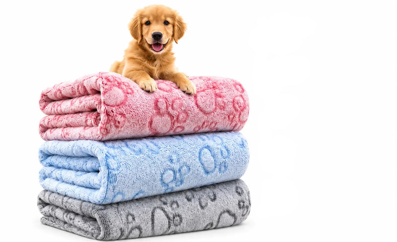 PetBlanket Premium™ – Manta Ultra Macia para Cães e Gatos | Conforto e Proteção o Ano Todo